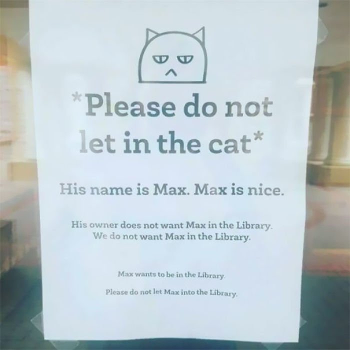 30 Hilarious Times Librarians Surprised Everyone With Their Sense